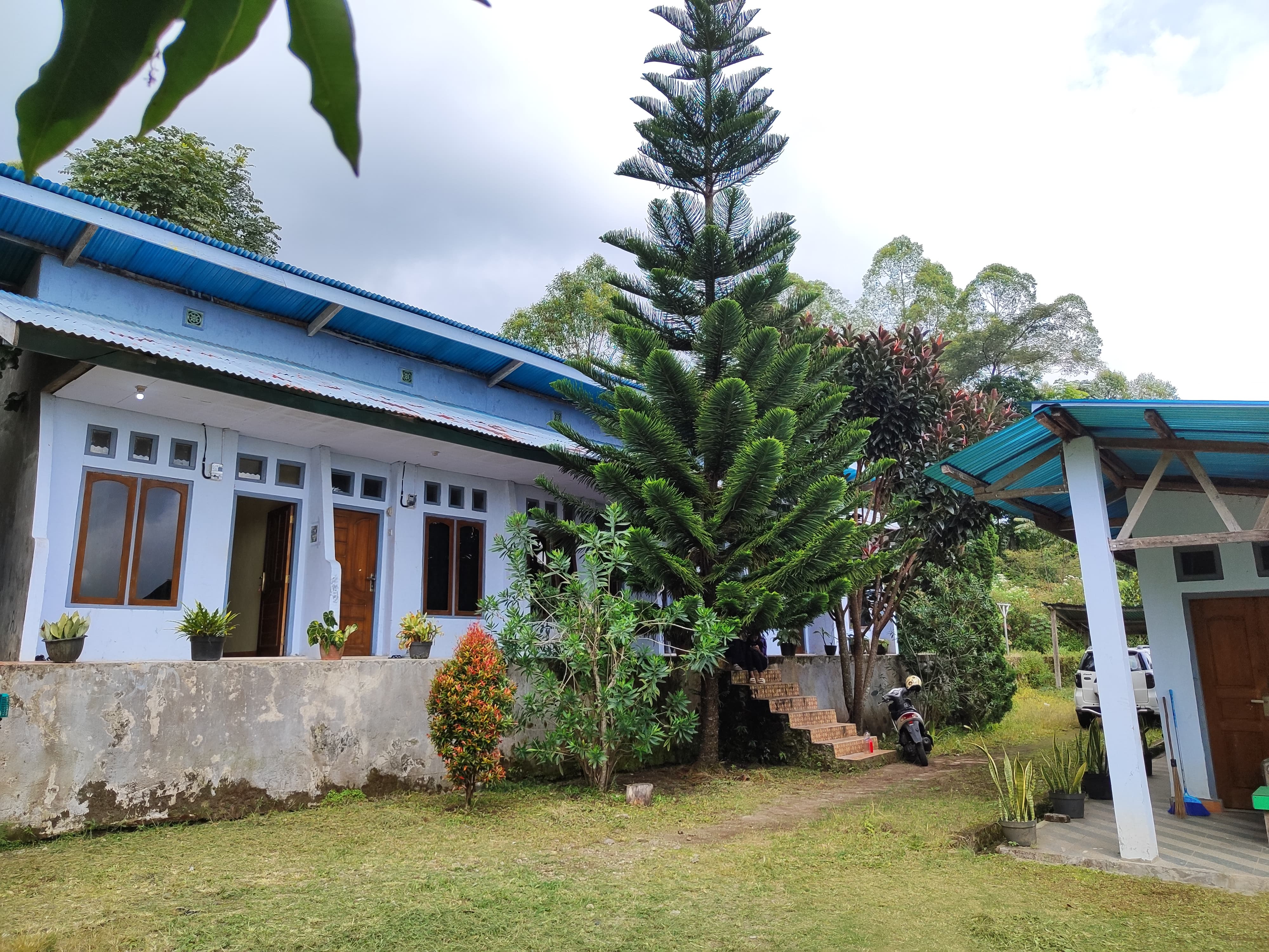 Interior Kost Lolita